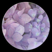 Pink & Purple Hydrangea Plate plates