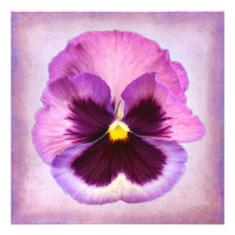 Pink Purple Pansy Flower Custom Invites
