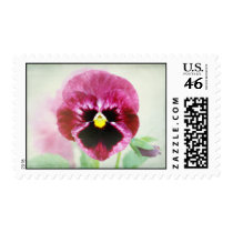 Pink Purple Pansy Flower stamps