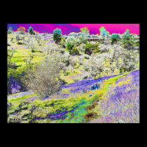 pink purple sky posters