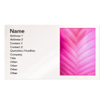 Pink Quill Bromeliad Business Card