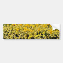 Pink Rainbow flowerbeds flowers Bumper Stickers
