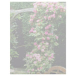 Pink Rambler Rose Francoise Juranville Over Pergol Customized Letterhead