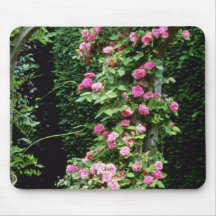 Pink Rambler Rose Francoise Juranville Over Pergol Mouse Pad