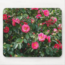 Pink & Red Camillias Mousepad