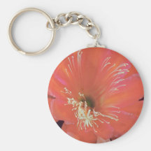 Pink Red cereus (Hylocereus spp.) flowers Keychains