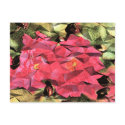 Pink Red Roses Abstract Cubist Futurist postcards