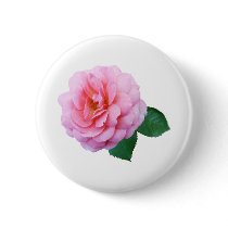 Pink Renaissance Rose buttons