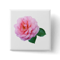 Pink Renaissance Rose buttons