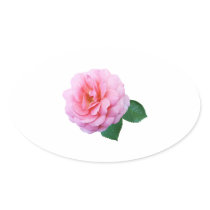 Pink Renaissance Rose stickers