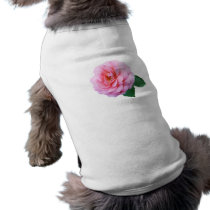 Pink Renaissance Rose pet clothing