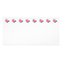 Pink Renaissance Rose photo cards