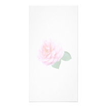 Pink Renaissance Rose photo cards