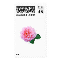 Pink Renaissance Rose stamps
