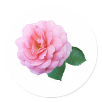 Pink Renaissance Rose stickers