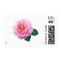 Pink Renaissance Rose stamps