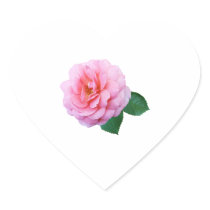 Pink Renaissance Rose stickers