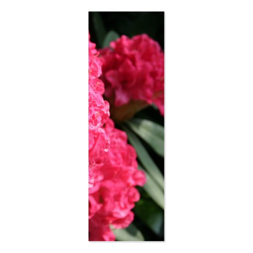 Pink Rhododendron (1) Business Card Template (back side)