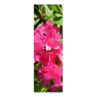 pink rhododendron and blue iris business cards