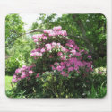 Pink Rhododendron Bush mousepads by AryadnaDesign Pink Rhododendron Bush mousepads