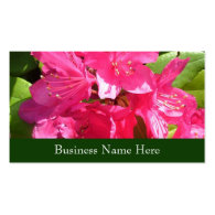 Pink Rhododendron Business Card