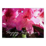 pink rhododendron flowers greeting cards