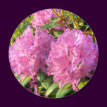 Pink Rhododendron II
