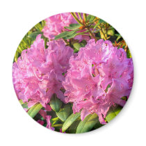 Pink Rhododendron II Refrigerator Magnet