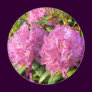 Pink Rhododendron II Refrigerator Magnet