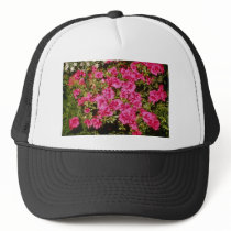 Pink Rhododendron Indicum 'Rose' (Azalea) flowers Hat