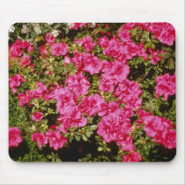 Pink Rhododendron Indicum 'Rose' (Azalea) flowers Mouse Pad