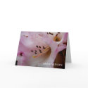 Pink Rhododendron | Invitation cards