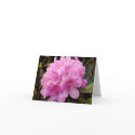 Pink Rhododendron note card