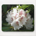 Pink Rhododendron Photo mousepads