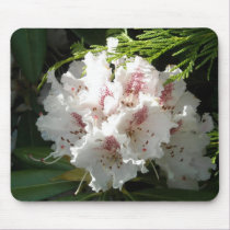 Pink Rhododendron Photo mousepads