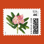 postage, stamp, pink rhododendron, vintage,