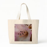 Pink Rhododendron | Rosa Rhododendron