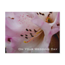 Pink Rhododendron | Wedding Congratulation postcards