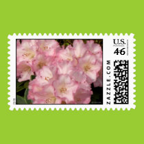 Pink Rhododendrons Postage stamps