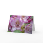 Pink Rhody Card