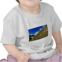 Pink Rhone Glacier cuts through the Burnese Alps f Tees