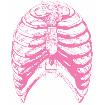 Pink Rib Cage t-shirts