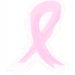 Ladies Baby Doll (Fitted)