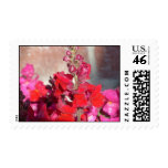 Pink Riot Postage Stamps