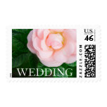 Pink romantic rose floral wedding postage stamp