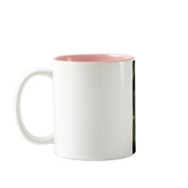 Pink Rose 1 Mug