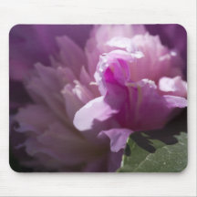 pink-rose-2012-05-20 mouse pad