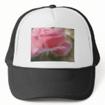Pink Rose 3 Angelic hats