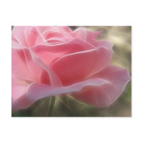Pink Rose 3 Angelic postcards by LivingNature Pink Rose 3 Angelic postcards