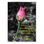 Pink Rose 4 Psalm 19:14